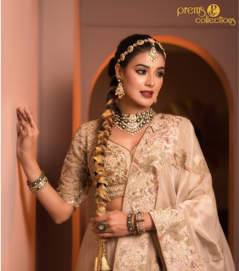 Banarasi Zari Sari
